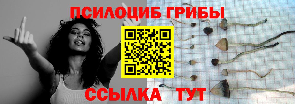 Галлюциногенные грибы ЛСД  Псилоцибиновые грибы мицелий  Вход с VPN  Скопин 